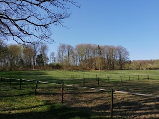 Chalet Bomal Environnement 29