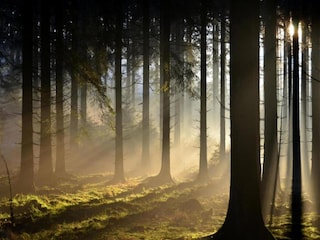 Chalet Bomal Omgeving 28