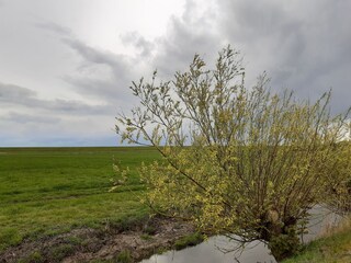 Frühling