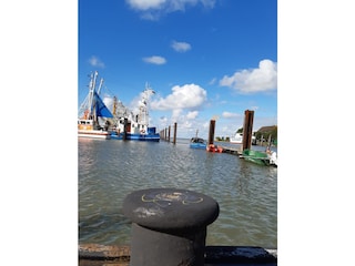 Hafen Fedderwardersiel