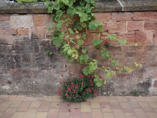 Im Ortskern von Hallgarten