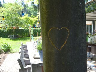 Vakantiehuis Haaren  30