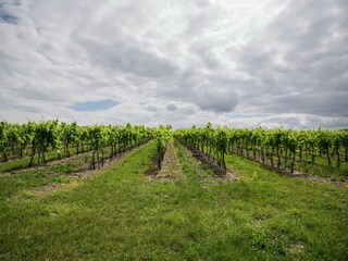 Villa Segonzac Buitenaudio-opname 6