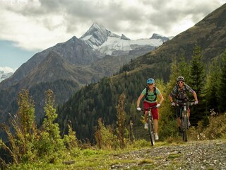 Appartement Niedernsill Environnement 26