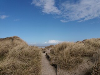 Der Weg zum Meer