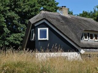 Vakantiehuis De Cocksdorp Buitenaudio-opname 3