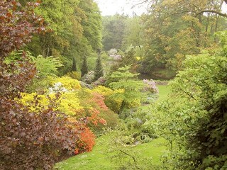 Unser Garten im Frühling...