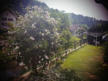 Ferienwohnung im Haus Marlies
