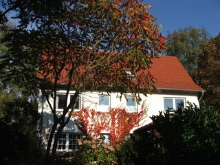 Blick vom Garten auf das Haus