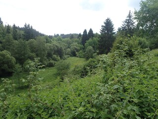 Vakantiehuis Allrode Omgeving 14