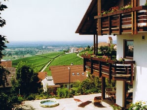 Holiday apartment Haus Vogesenblick - Weil am Rhein - image1