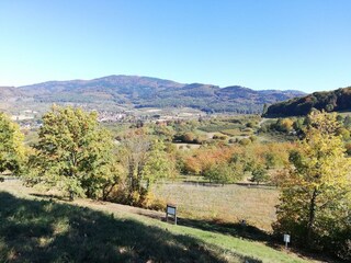 Holiday apartment Weil am Rhein Environment 16