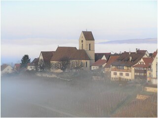 Holiday apartment Weil am Rhein Environment 15