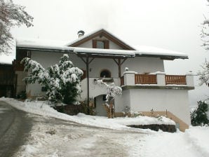 Gfinkerhof | App. Mendel