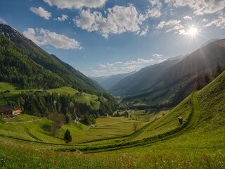 Berglandschaft Sommer