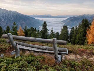 Vakantieappartement St. Jakob im Ahrntal Omgeving 15