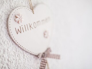 Appartamento per vacanze St. Jakob im Ahrntal Caratteristiche 13