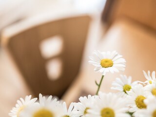 Appartamento per vacanze St. Jakob im Ahrntal Caratteristiche 9