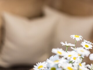 Appartamento per vacanze St. Jakob im Ahrntal Caratteristiche 7