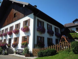 Holiday apartment Sperr - Nussdorf, Attersee - image1