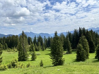 Apartamento de vacaciones Reit im Winkl Entorno 36