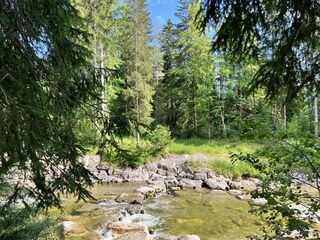 Appartamento per vacanze Reit im Winkl Ambiente 37