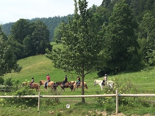 Appartement de vacances Reit im Winkl Environnement 30