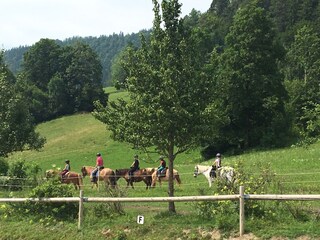 Vakantieappartement Reit im Winkl Omgeving 30