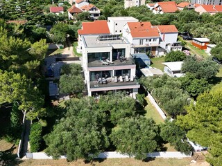 Olive trees in front of villa