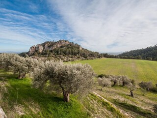 Villa Mancor de la Vall Ambiente 47