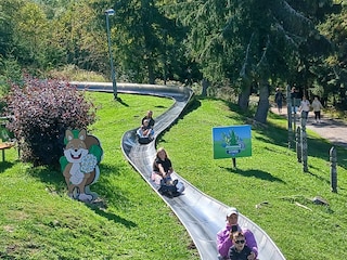 Sommerrodelbahn Altenberg