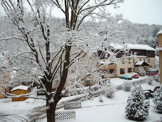 Winter am Lutherplatz