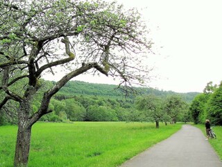 Appartement Ulmen Environnement 20