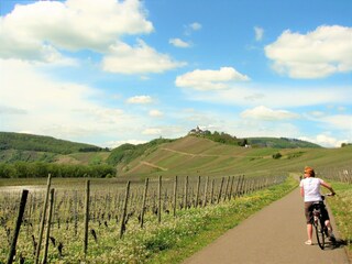 Appartement Ulmen Environnement 21