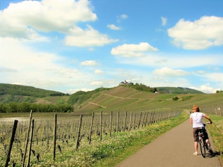 Appartement Ulmen Omgeving 21