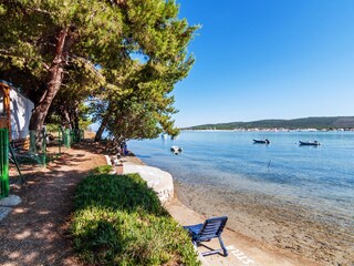 beach with pine trees