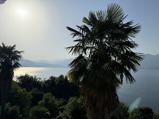 Ferienhaus Cannero Riviera Außenaufnahme 7