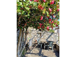 Holiday house Cannero Riviera Outdoor Recording 22