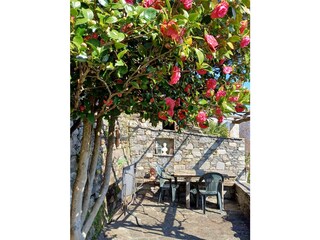 Sitzecke untere Terrasse