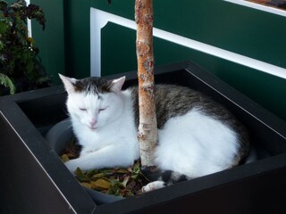 Mitarbeiterin in der Pause