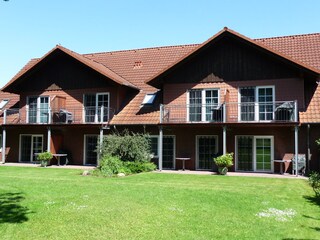 In der Nachmittagssonne