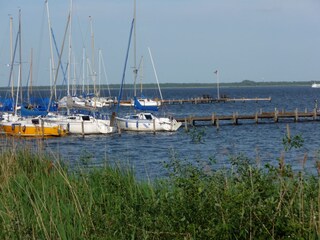 Steinhuder Meer