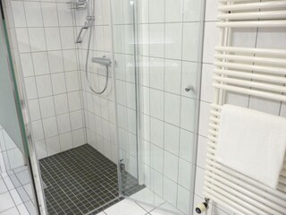 Bodengleiche Glasdusche