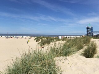 Appartamento per vacanze Norddeich Ambiente 24