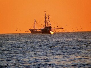 Appartamento per vacanze Norddeich Ambiente 27