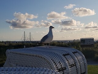 Appartamento per vacanze Norddeich Ambiente 29