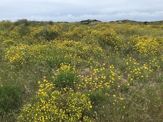 Vakantiehuis Nazaré Omgeving 40