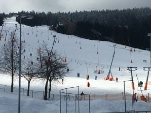 Apartment im Appartementhaus am Fichtelberg - Oberwiesenthal - image1