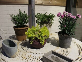 Maison de vacances Poperinge  36