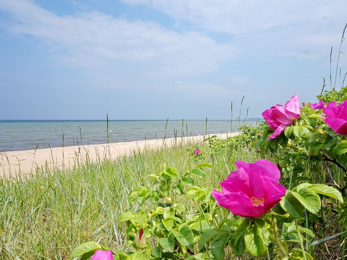 Naturstrand Zierow